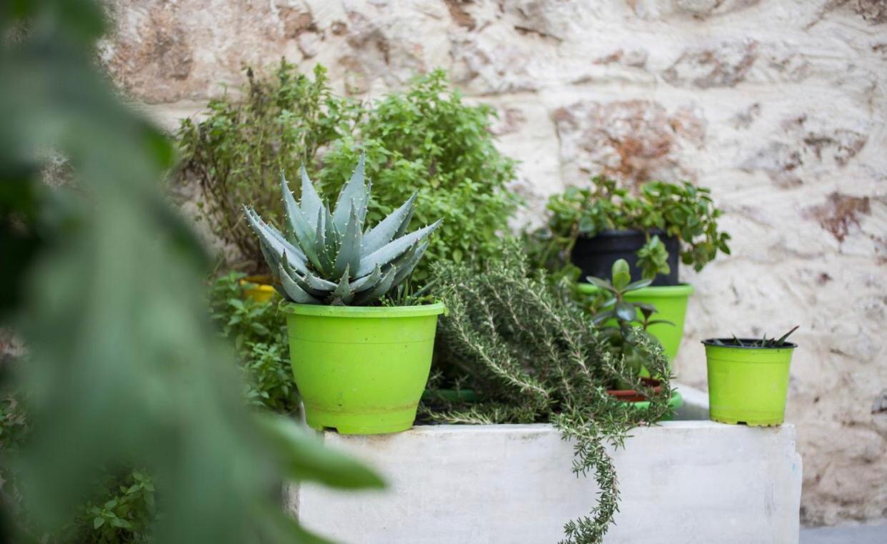 A Litte Taste Of Home Guest House Atena Exterior foto